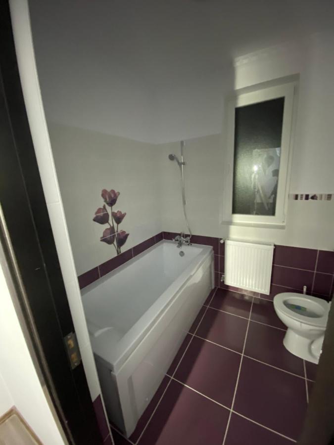 Luxury Apartment Satu Mare Luaran gambar