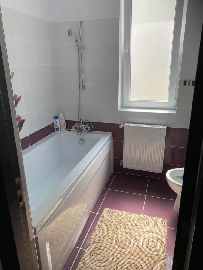 Luxury Apartment Satu Mare Luaran gambar