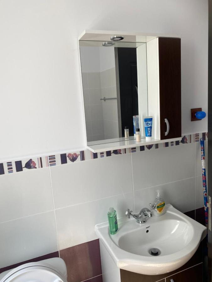 Luxury Apartment Satu Mare Luaran gambar